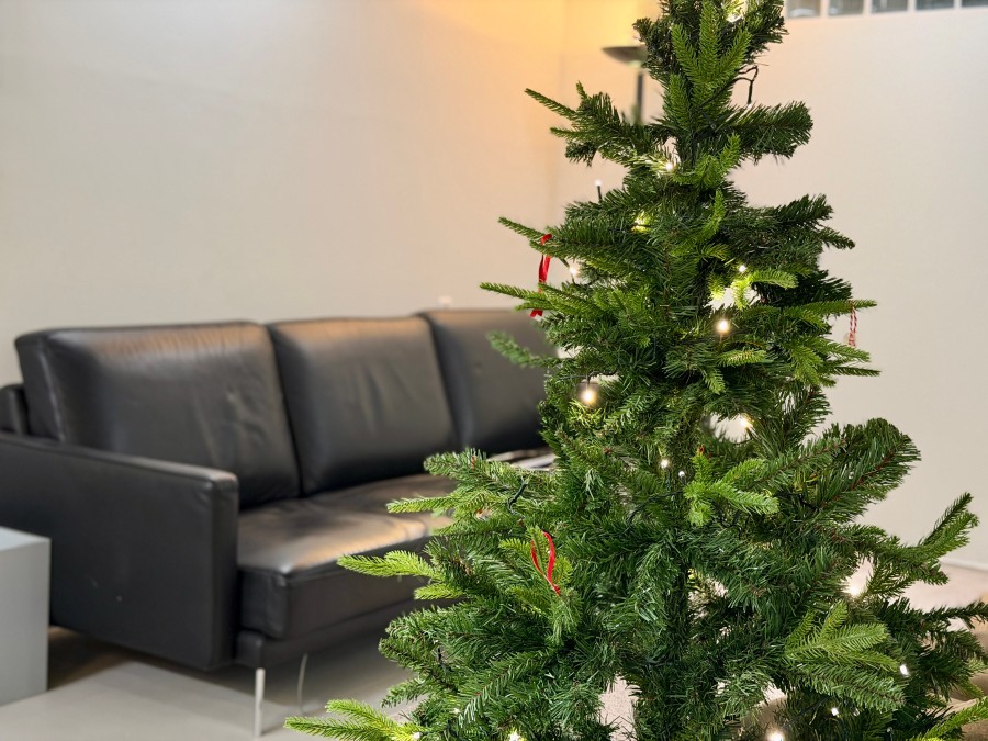 이주찬의 사진 1